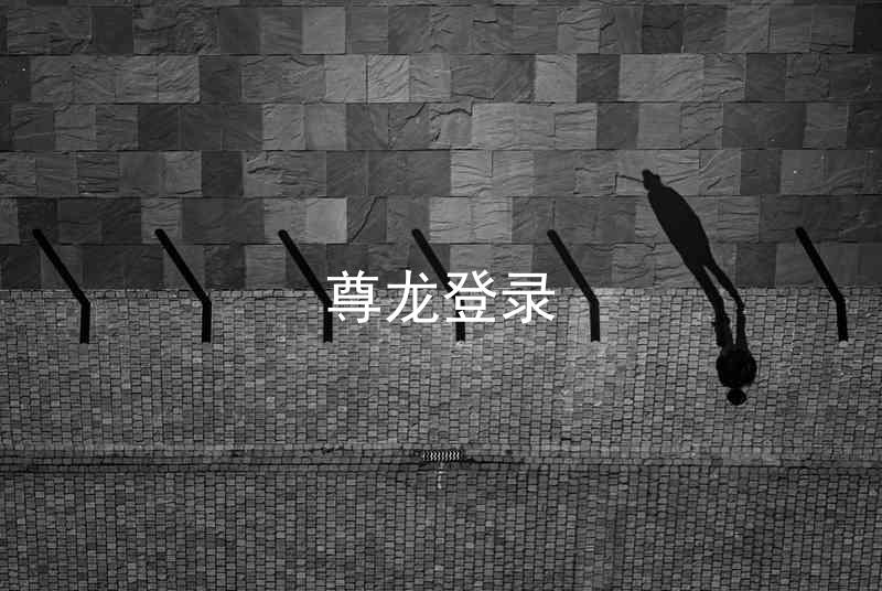 尊龙登录