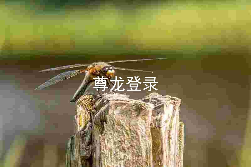 尊龙登录